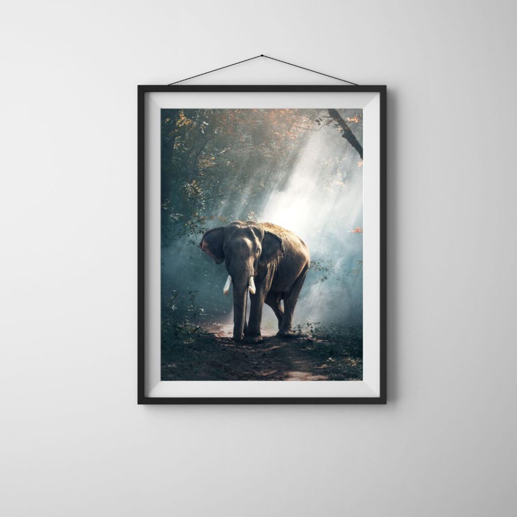 Engagements and Commitments These are more than just promises; they're the foundation of our collaboration. Let's chat about your online goals and see how Drop Contractor can help you unlock your full potential.