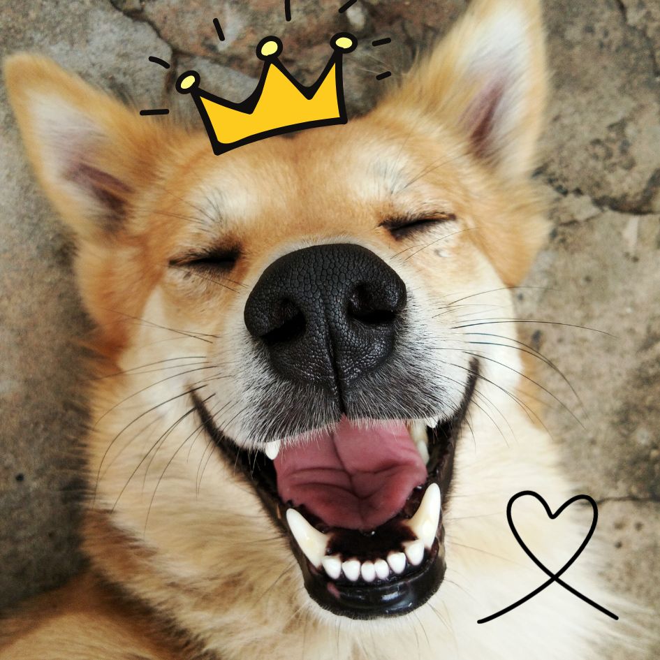 SEO Checklist for Beginners: Step By Step Guide for Organic Traffic Welcome to the wonderful & Frustrating world of Search Engine Optimisation (SEO)! Before we dive in, it's important to set realistic expectations. This beginner's checklist will guide you through essential steps to optimize your website for search engines and attract organic traffic – website visitors who find you naturally through search queries. However, SEO is a marathon (and a long one), not a sprint.