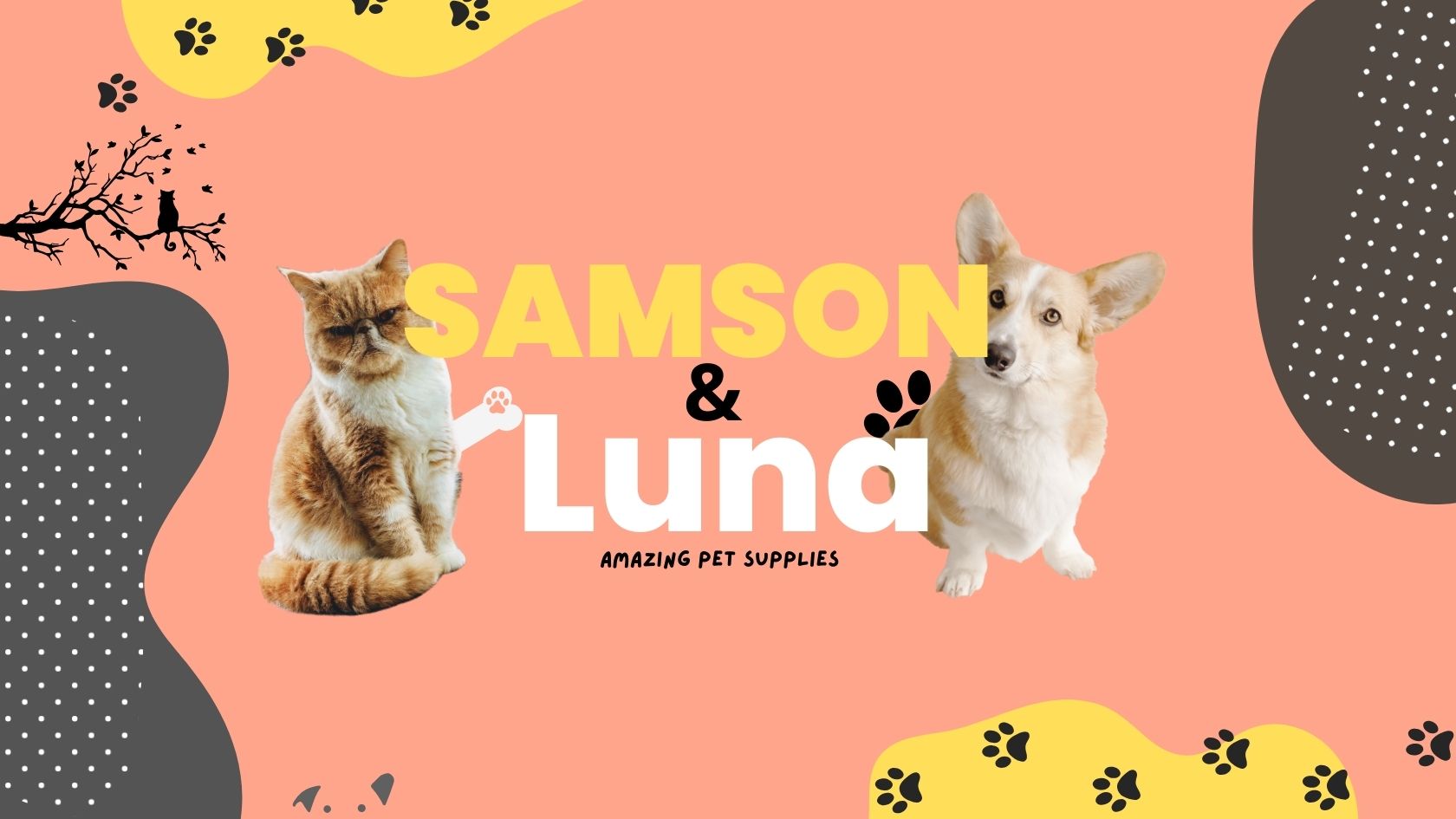 Portfolio Purrfection Pet Products, a UK-based e-commerce company specializing in cat toys and accessories, sought to enhance their brand recognition and boost online sales. I led a comprehensive rebranding effort, which included developing a new brand strategy, redesigning the visual identity, and overhauling the website for better user experience. Coupled with targeted marketing campaigns and detailed conversion rate optimization (CRO) strategies, the project resulted in a 60% increase in sales, a 35% boost in conversion rates, and a 50% growth in social media followers. The success of this initiative significantly elevated Purrfection Pet Products' market presence and customer satisfaction.
