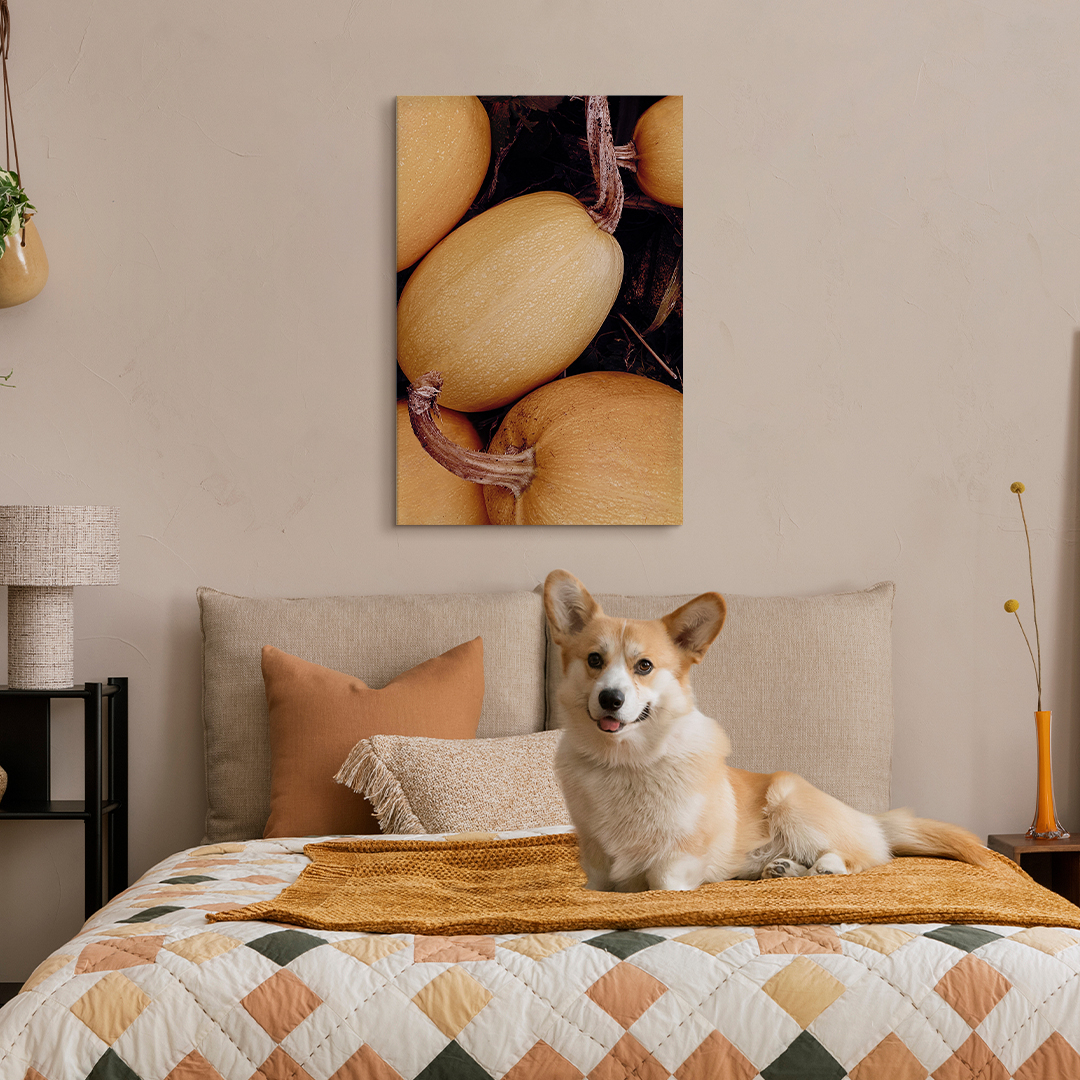 DropContractor's Portfolio 23 DropContractor's Portfolio Some of the projects listed below have had certain information altered due to NDAs, client requests, and overall project protection.