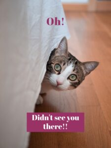 10 Secrets Marketing Agencies Don’t Want You to Know 11 10 Secrets Marketing Agencies Don’t Want You to Know I’m sharing 10 secrets that some marketing agencies might not want you to know, based on my own experiences and insights. From overpromising results to using cheap labor, these hidden practices can impact your marketing efforts and budget. I’ll also offer practical tips on how to spot these issues and choose an agency that truly values your business. Whether you're looking for transparency, effective communication, or a genuine commitment to your success, this guide will help you make informed decisions and find the right marketing partner for your needs.